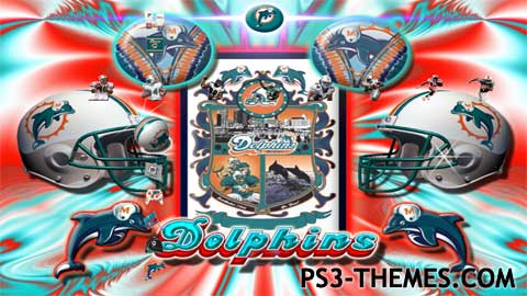 miamidolphins-1_bad_soldier.jpg