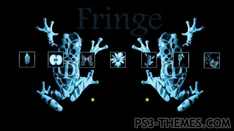 2965-fringe.jpg