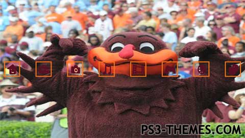 3101-hokies.jpg