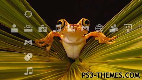 5909-WHATAREYOUSTARINGAT