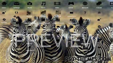 10992-Zebra