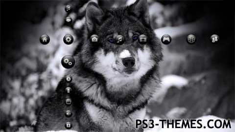 24876-Wolf_Theme_HD